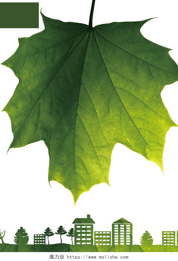 卡通绿色环保画册封面背景